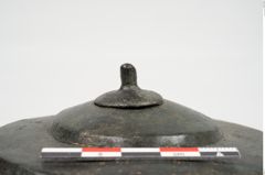 Foto von Bronzephalere (NHMW-PRAE-026092)